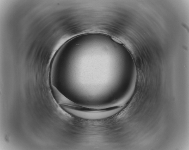 X0000091311102200708171410