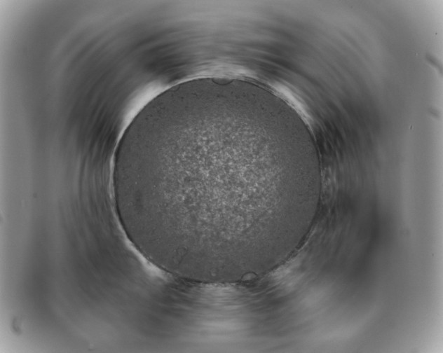 X0000091311103200708171410