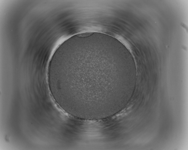 X0000091311104200708171410