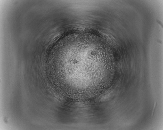 X0000091311105200708171409