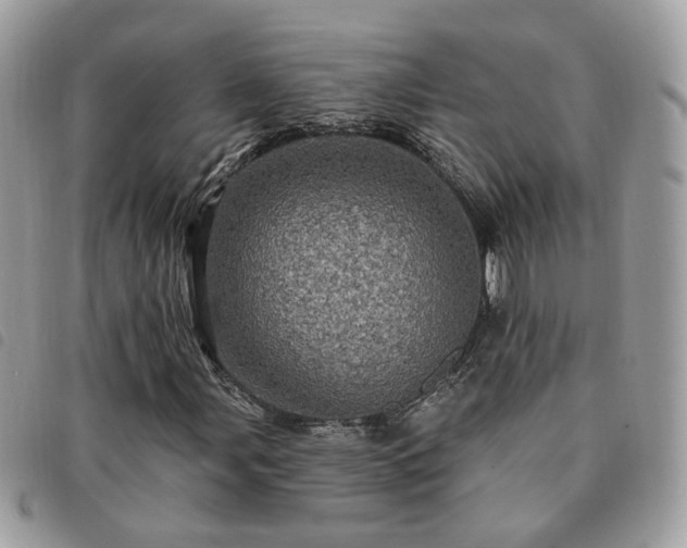 X0000091311107200708171409