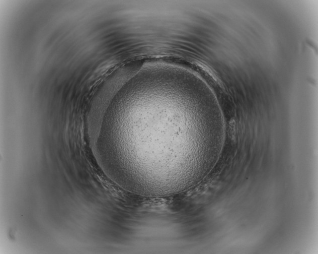 X0000091311111200708171409