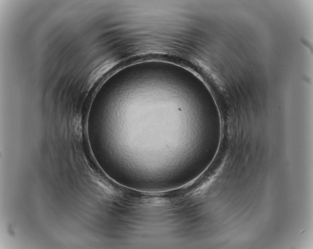 X0000091311113200708171409