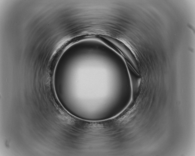 X0000091311115200708171409