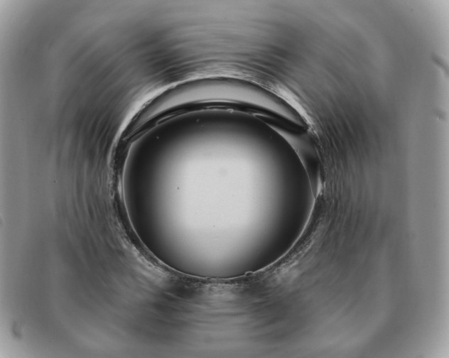 X0000091311116200708171409