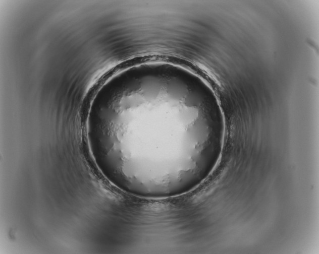 X0000091311117200708171409