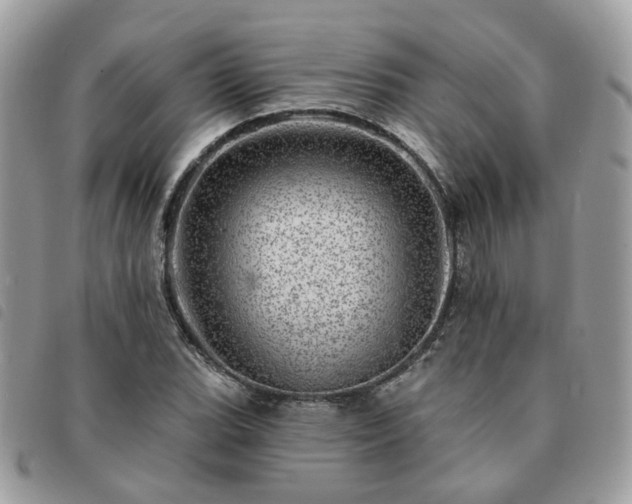 X0000091311119200708171409