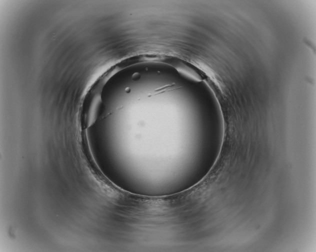 X0000091311120200708171409