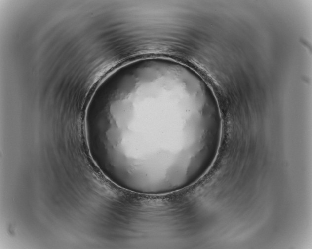 X0000091311121200708171409