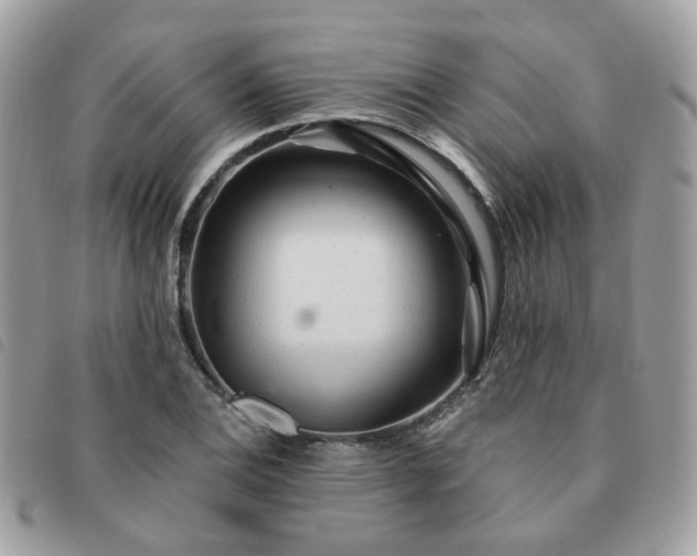 X0000091311124200708171409