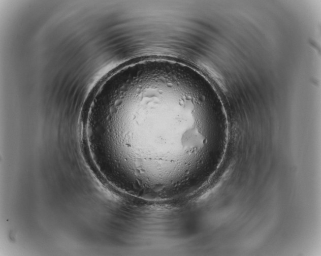 X0000091311125200708171409