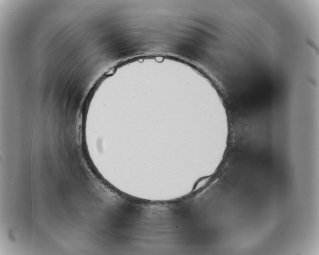 X0000091311126200708171409