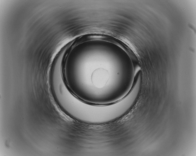 X0000091311128200708171409