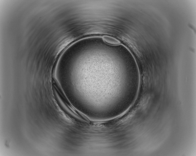 X0000091311129200708171409