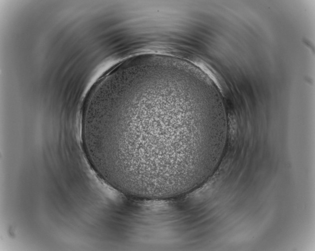 X0000091311131200708171409