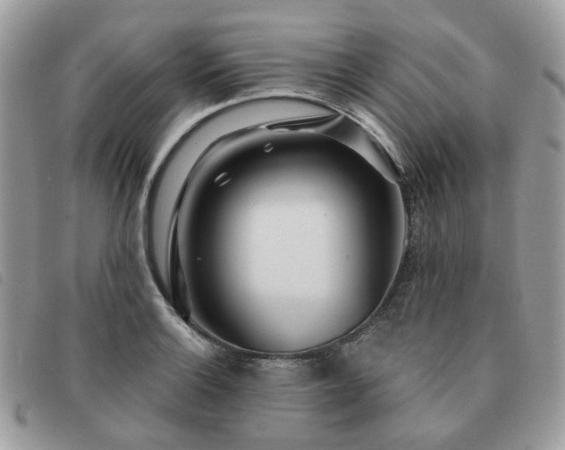 X0000091311132200708171409