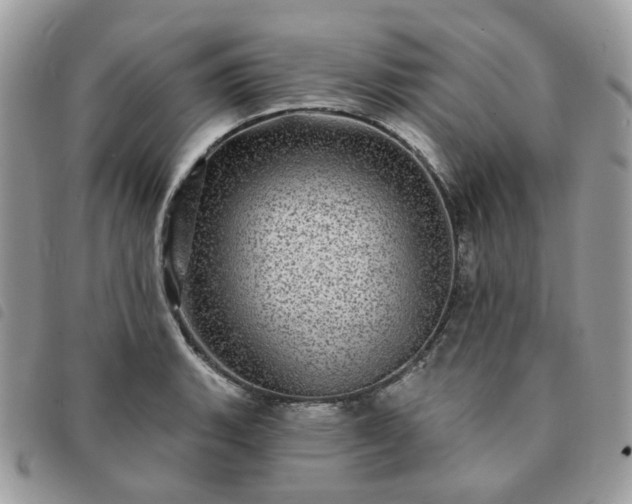 X0000091311135200708171409