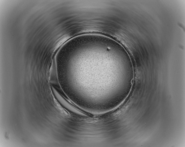 X0000091311137200708171409