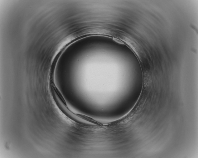 X0000091311139200708171409