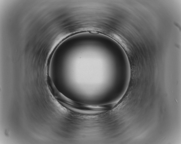 X0000091311140200708171409