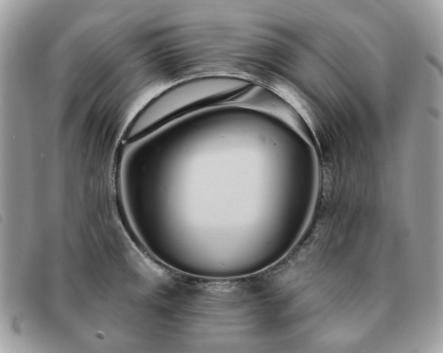 X0000091311141200708171409