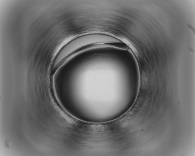 X0000091311142200708171409