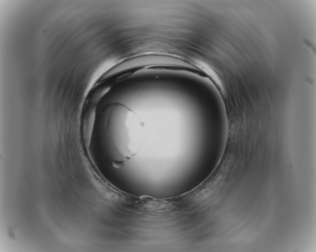 X0000091311146200708171409