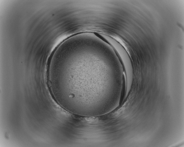 X0000091311147200708171409