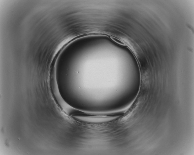 X0000091311149200708171409