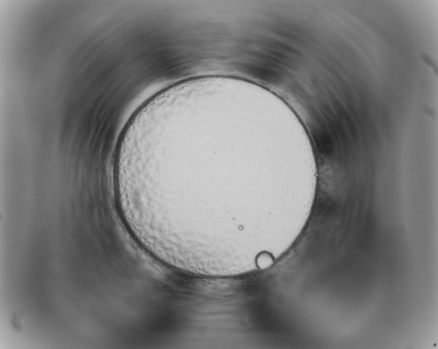 X0000091311150200708171409