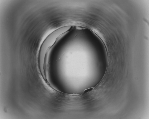 X0000091311152200708171410