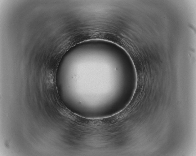 X0000091311154200708171409