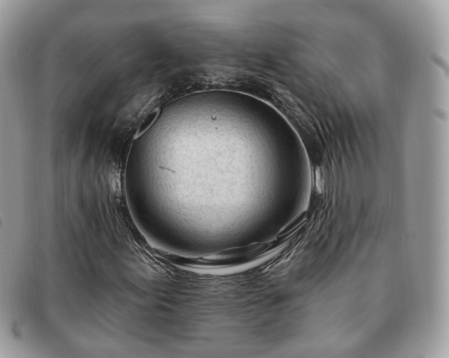 X0000091311155200708171409