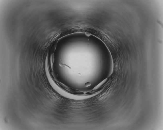 X0000091311156200708171409