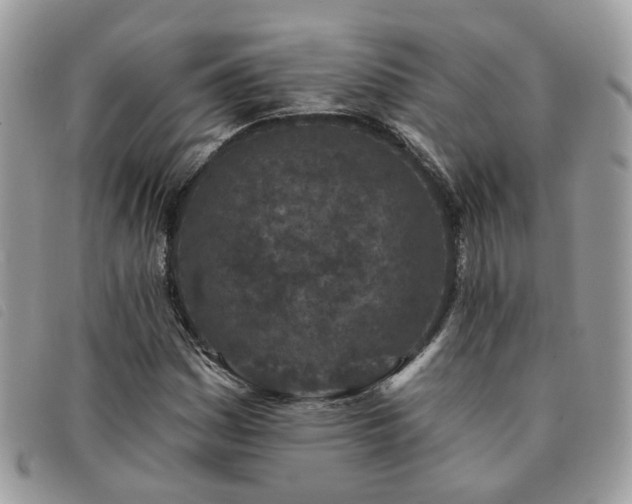 X0000091311161200708171409