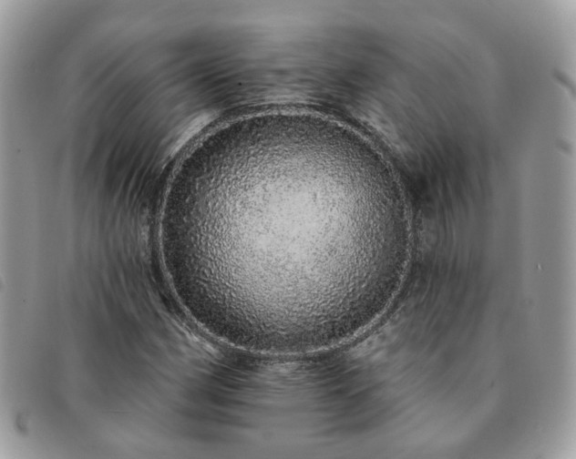 X0000091311162200708171409