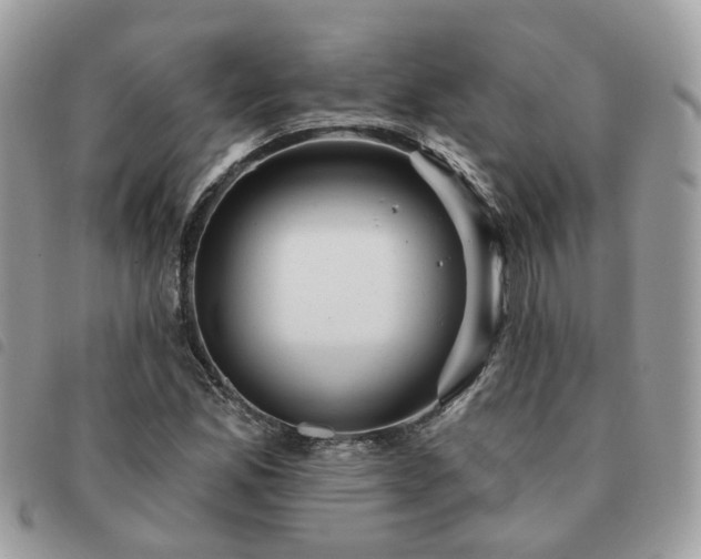 X0000091311165200708171408