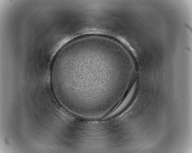 X0000091311167200708171408