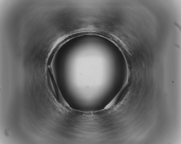 X0000091311168200708171408