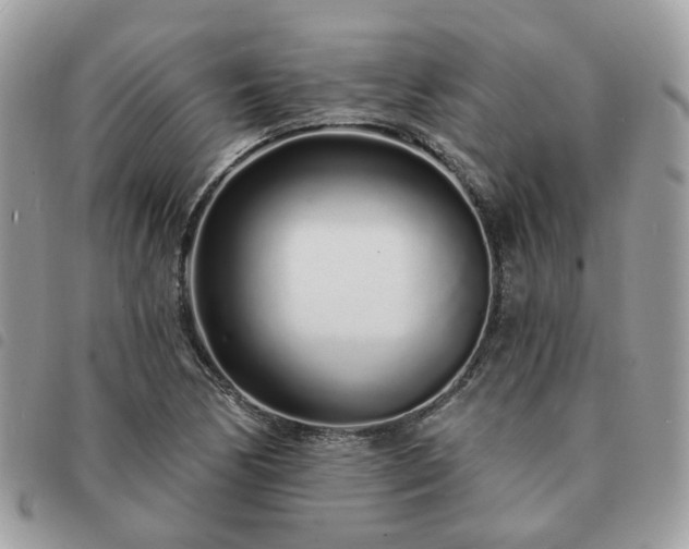 X0000091311170200708171408