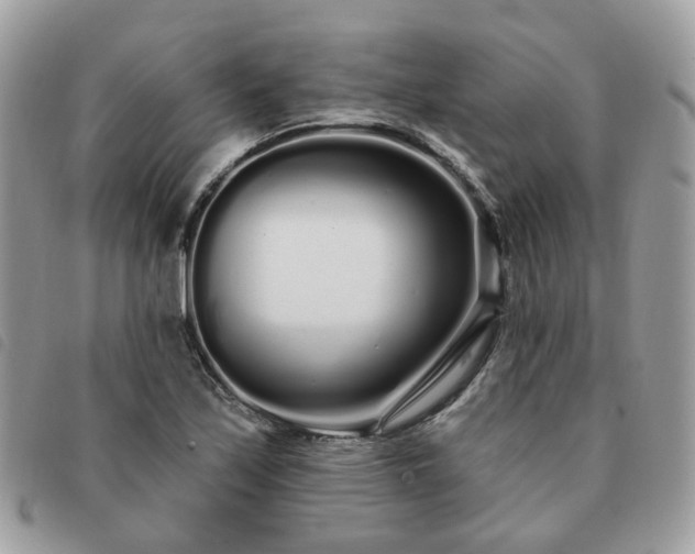 X0000091311171200708171408