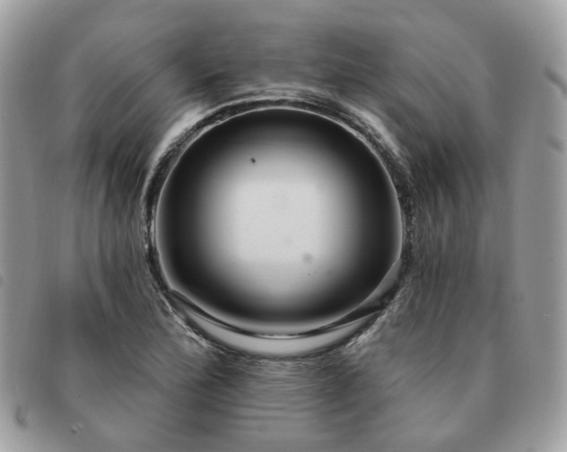 X0000091311172200708171408