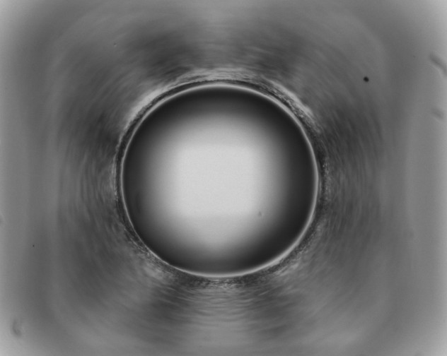 X0000091311174200708171408