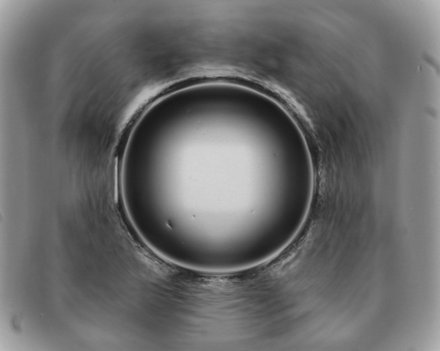 X0000091311175200708171408