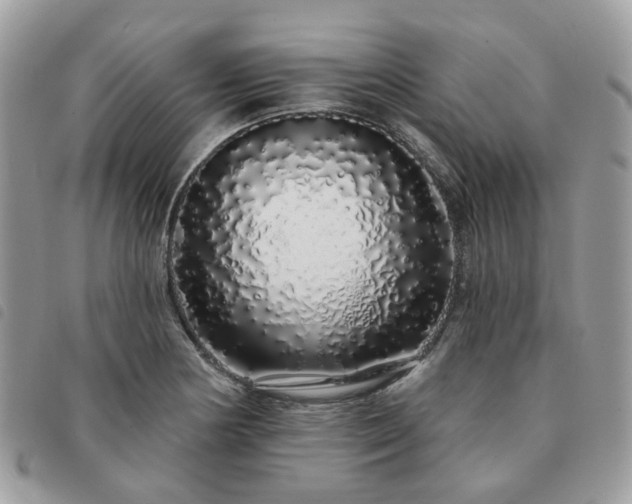 X0000091311178200708171408