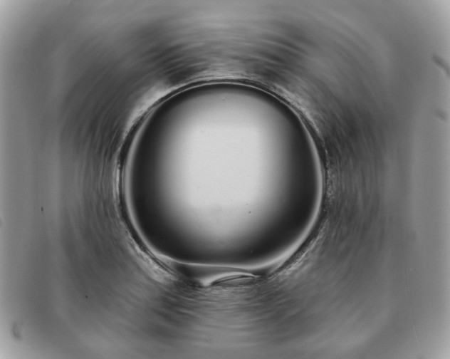 X0000091311179200708171408