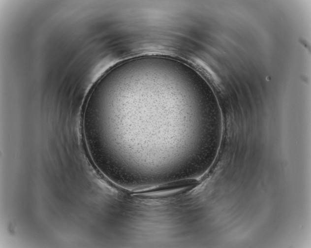 X0000091311182200708171408