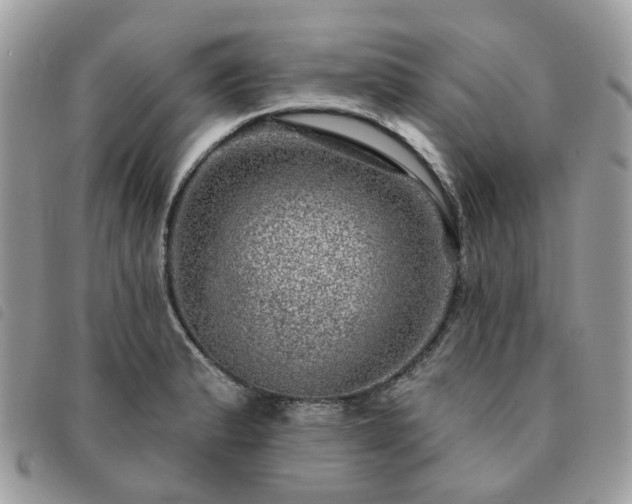 X0000091311183200708171408