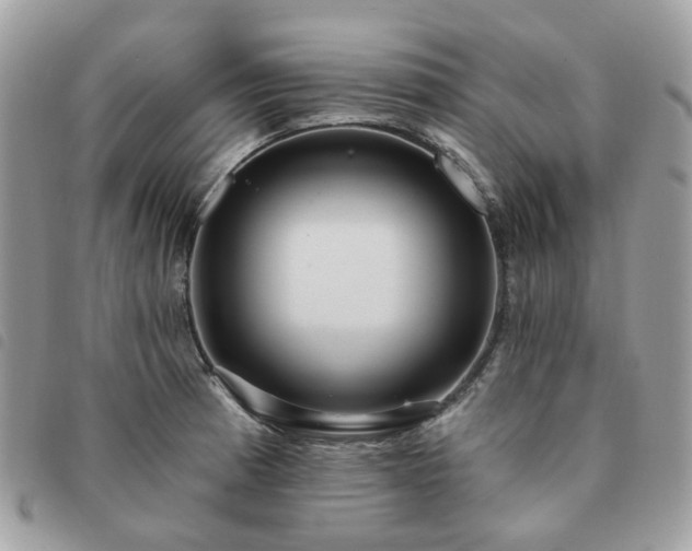 X0000091311185200708171408