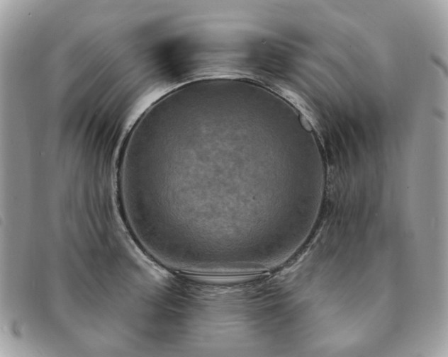 X0000091311187200708171408